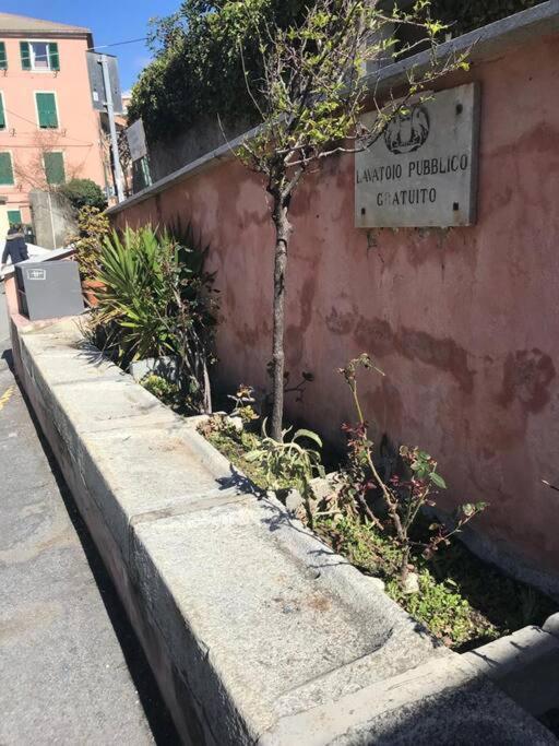 Pisi Home, 2 Min Dalla Spiaggia E Dall' Ospedale Gaslini Genoa Exterior photo
